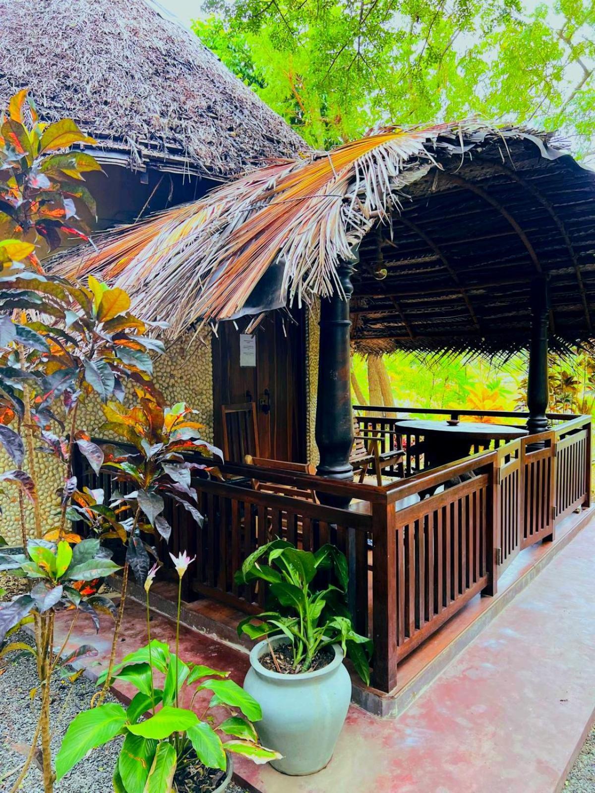 Turtle Watch Cabana Tangalle Dış mekan fotoğraf