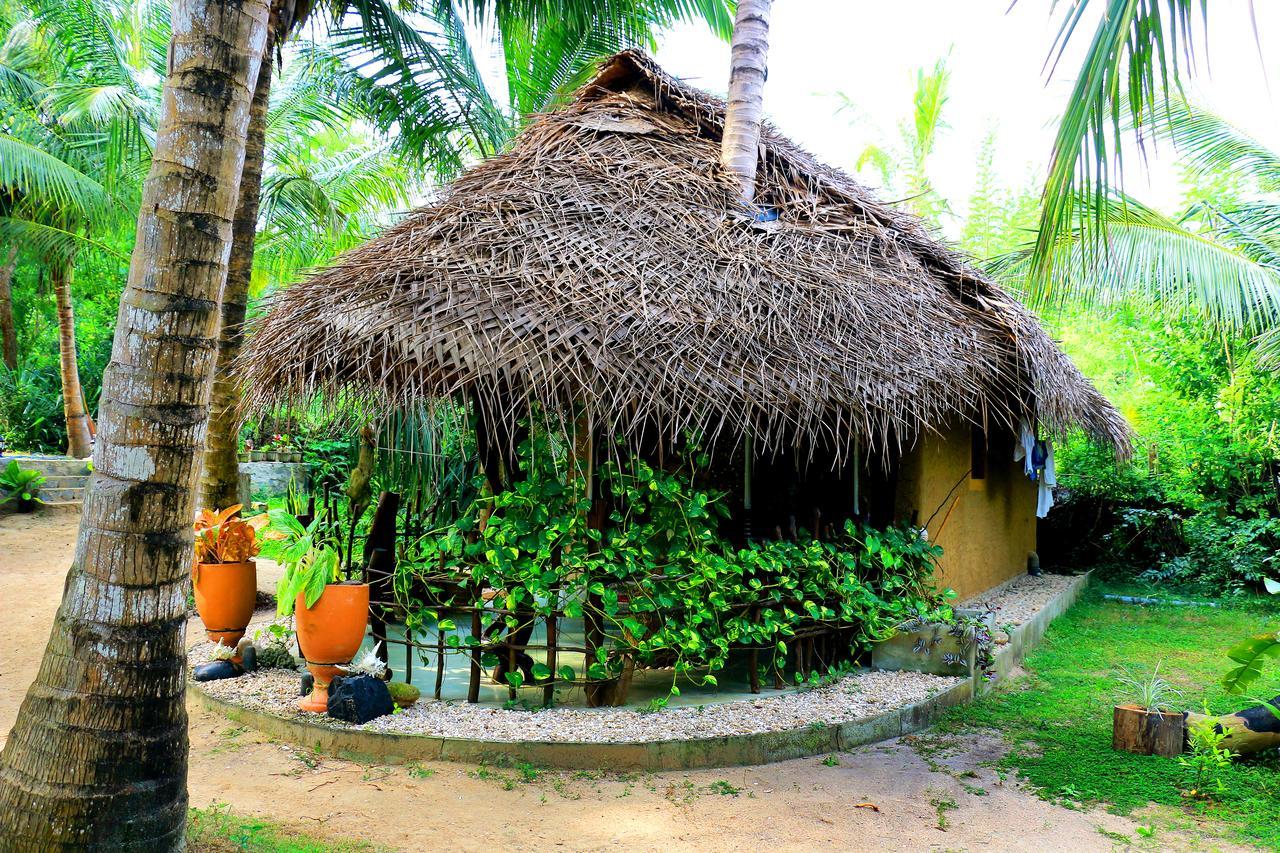 Turtle Watch Cabana Bed & Breakfast Tangalle Dış mekan fotoğraf