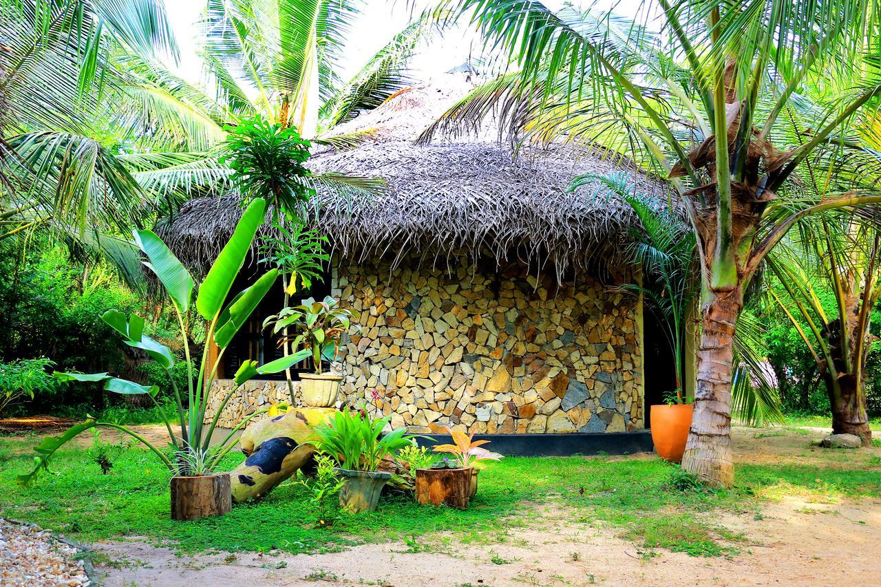 Turtle Watch Cabana Bed & Breakfast Tangalle Dış mekan fotoğraf