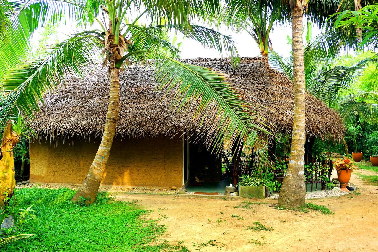 Turtle Watch Cabana Bed & Breakfast Tangalle Dış mekan fotoğraf