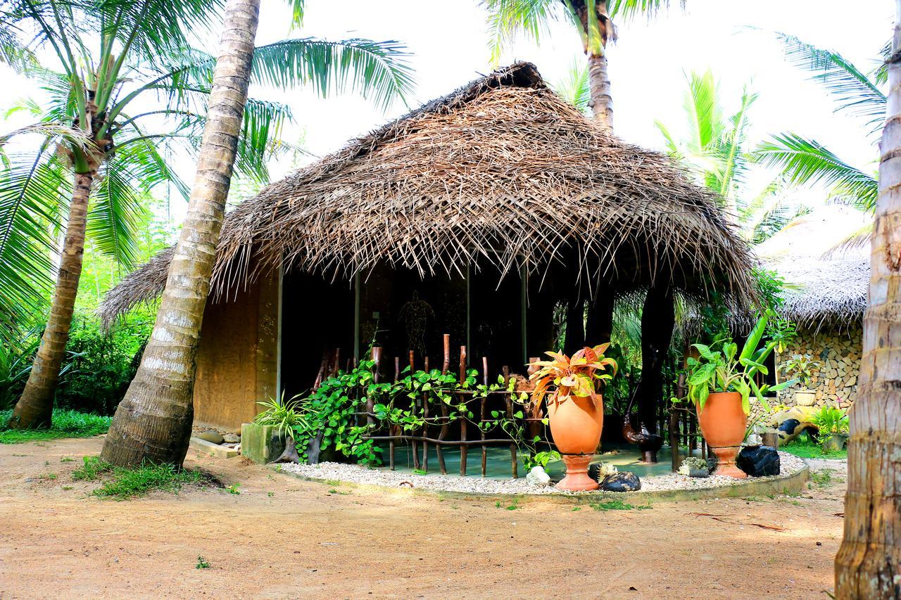 Turtle Watch Cabana Bed & Breakfast Tangalle Dış mekan fotoğraf