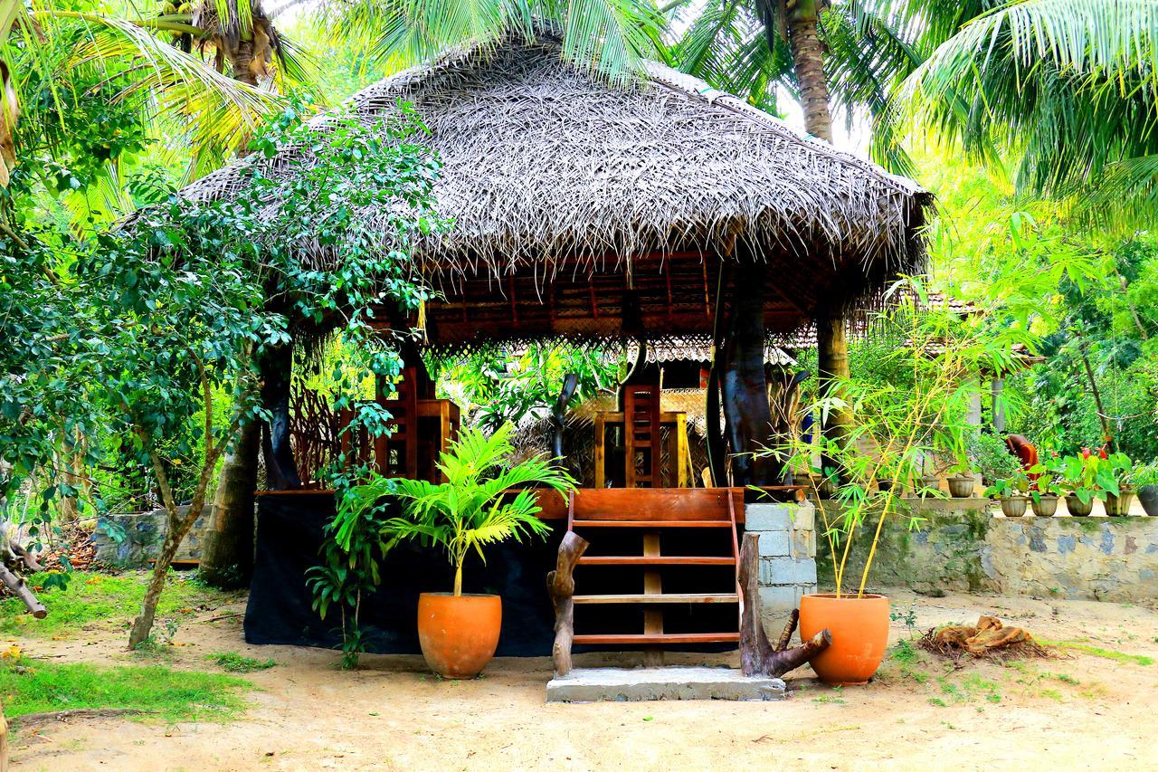 Turtle Watch Cabana Bed & Breakfast Tangalle Dış mekan fotoğraf