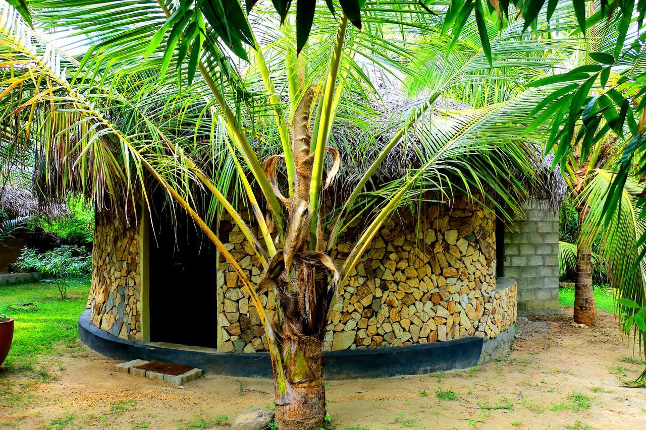 Turtle Watch Cabana Bed & Breakfast Tangalle Dış mekan fotoğraf