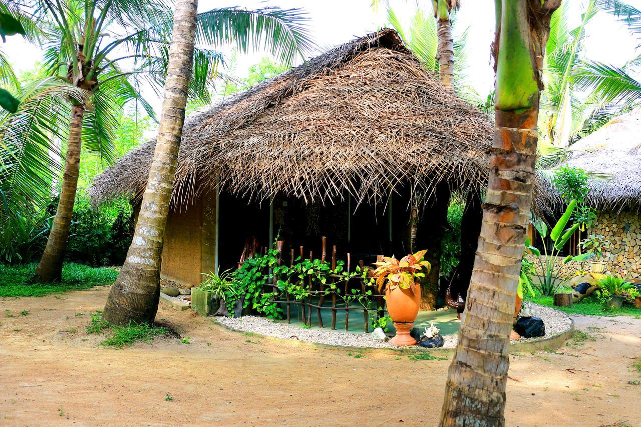 Turtle Watch Cabana Bed & Breakfast Tangalle Dış mekan fotoğraf